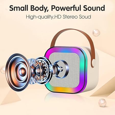 Bluetooth karaoke speaker